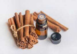 buy cinnamon oil -herb-key.jpg